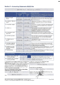 Accounting Statement